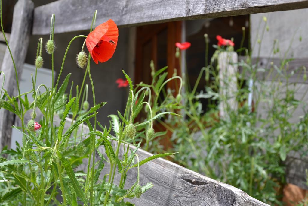 Holiday Farmhouse Skvor Robidisce Kültér fotó