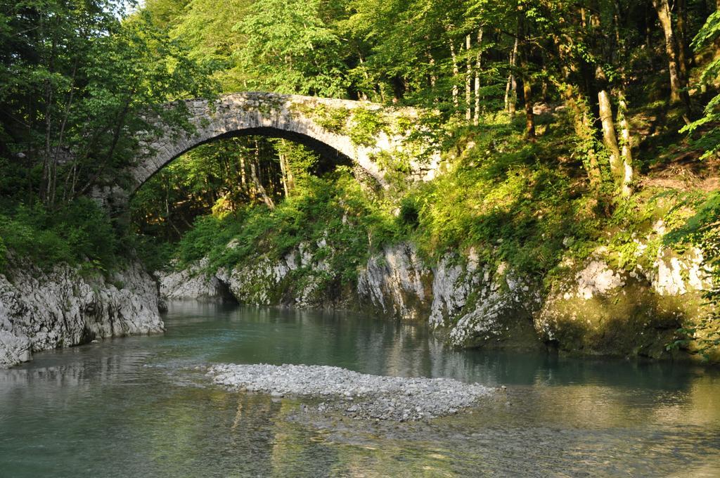 Holiday Farmhouse Skvor Robidisce Szoba fotó