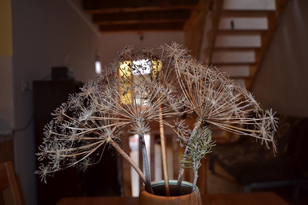 Holiday Farmhouse Skvor Robidisce Kültér fotó